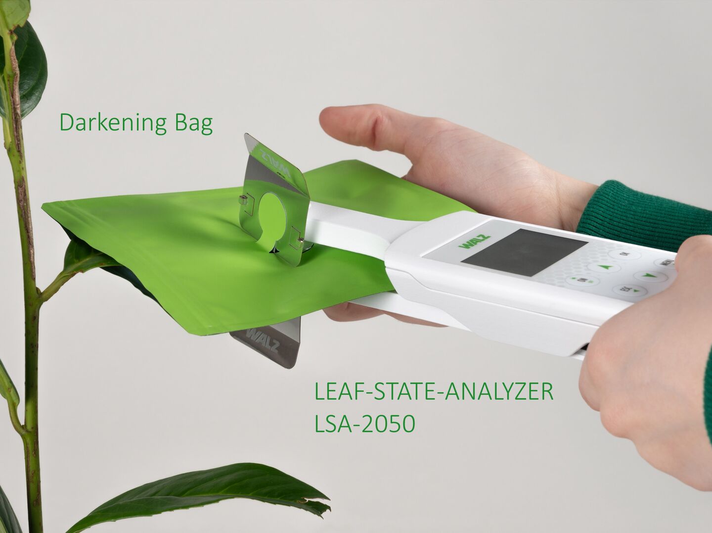 Chlorophyll Meter (Patented)